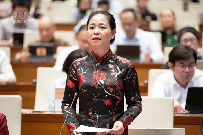 Đại biểu Nguyễn Thị Thu Dung, Đoàn ĐBQH thành phố Hà Nội phát biểu thảo luận. Ảnh: Quốc hội