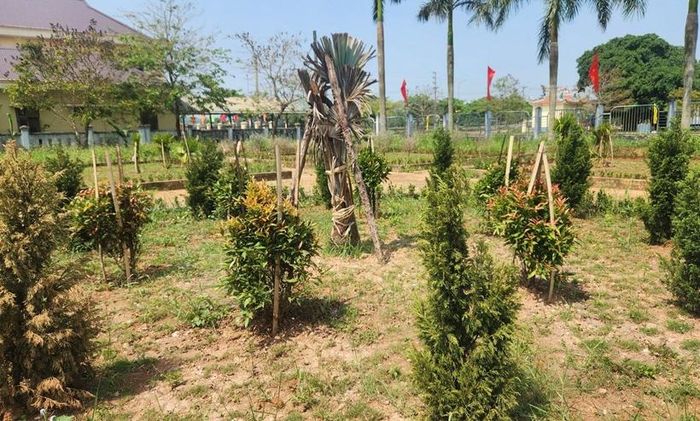 Dự án sân vườn tại trụ sở HĐND và UBND huyện Gio Linh (cũ) cũng nằm trong danh sách báo cáo của UBND tỉnh Quảng Trị gửi Bộ Công an. Ảnh: Minh Tân