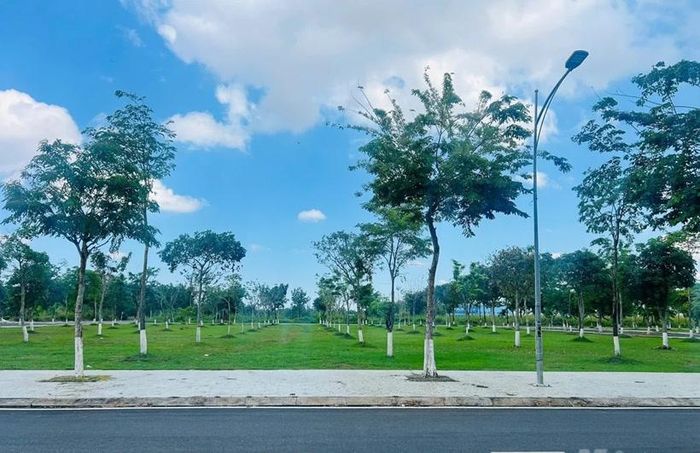 Một dự án công viên cây xanh trên địa bàn tỉnh Bình Phước (cũ) do Công ty Cây xanh Công Minh trúng thầu.