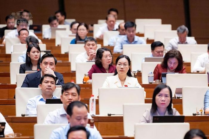  Các đại biểu tham dự phiên họp. Ảnh: Quốc hội
