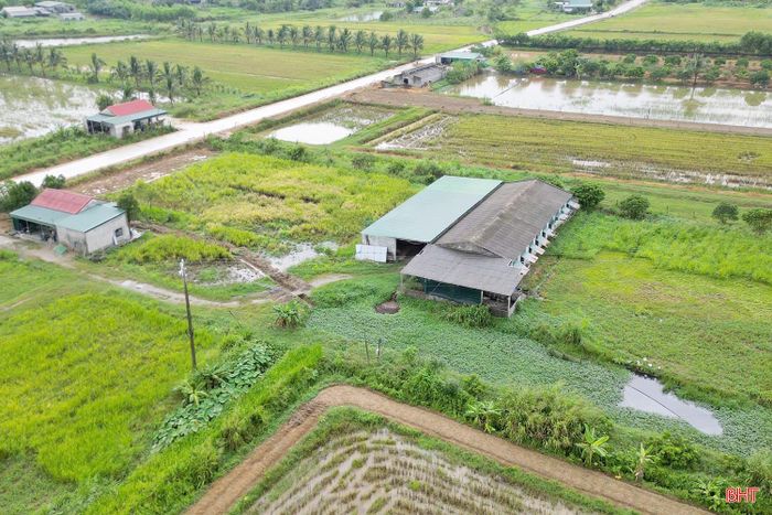 Trên diện tích 2 ha, gia đình anh đầu tư xây dựng 2 khu chuồng trại khép kín, áp dụng hình thức nuôi nhốt, thuận lợi cho việc chăm sóc, quản lý và phát triển đàn bò.