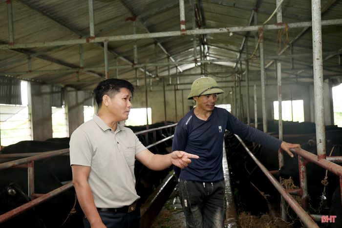 Mô hình nuôi bò 3B của anh Hồ Văn Khoa được triển khai hiệu quả trên diện tích đất thuê, cách xa khu dân cư, vừa nâng cao giá trị sản xuất, vừa hạn chế ảnh hưởng đến môi trường sống xung quanh.