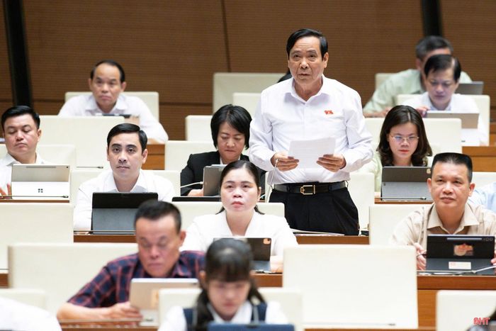 Đại biểu Nguyễn Thanh Bình - Chủ tịch Hội Người cao tuổi Việt Nam (Đoàn ĐBQH tỉnh Hà Tĩnh) tham gia thảo luận.