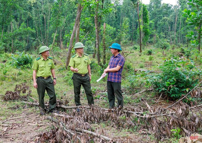 Hạt Kiểm lâm Hoành Sơn kiểm tra hiện trường ở các khu vực rừng bị đổ gãy.