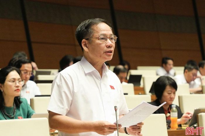 Đại biểu Trần Đình Gia - Phó Trưởng đoàn chuyên trách Đoàn ĐBQH tỉnh Hà Tĩnh tham gia thảo luận về các dự án luật sửa đổi.