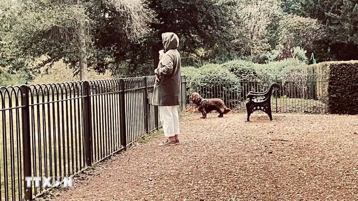 Khoảnh khắc tĩnh lặng của một ngày Thu. (Ảnh: Hương Giang/TTXVN)