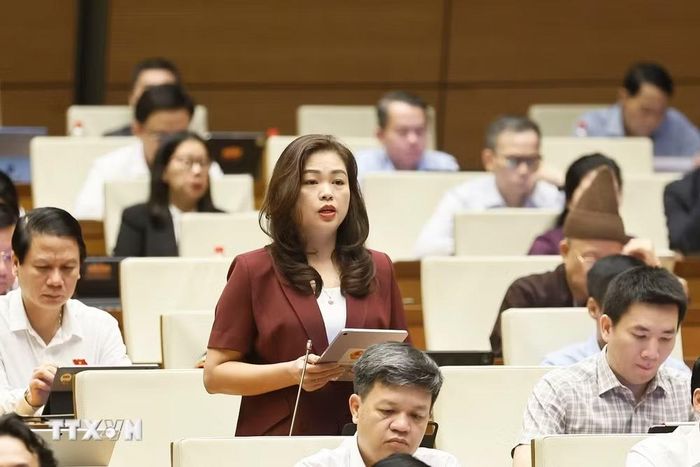 Đại biểu Quốc hội tỉnh Cao Bằng Đoàn Thị Lê An phát biểu. (Ảnh: Doãn Tấn/TTXVN)