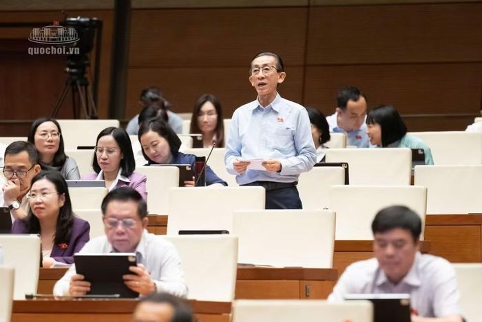 Đại biểu Trần Hoàng Ngân, Đoàn ĐBQH Thành phố Hồ Chí Minh. (Ảnh: QH)