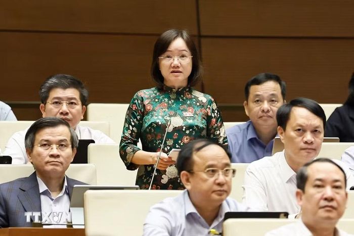 Đại biểu Quốc hội tỉnh Nghệ An Thái Thị An Chung phát biểu. (Ảnh: Doãn Tấn/TTXVN)