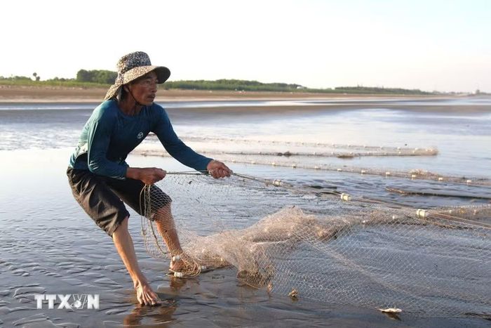 Công việc kéo lưới rùng phần lớn thời gian ngâm trong nước biển, đòi hỏi sự kiên trì và phối hợp nhịp nhàng. Người kéo phải biết giữ hướng lưới, điều chỉnh lực tay, tránh để lưới bị chùng hoặc mở ra những khoảng trống khiến cá, tôm thoát mất. (Ảnh: Xuân Tiến/TTXVN)