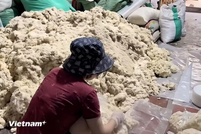 Chị Phương Hà đang thu gom mùn sừng phát sinh trong quá trình chế tác tại xưởng để đóng bao và phân loại làm phân bón hữu cơ tan chậm cho cây cảnh. (Ảnh: Phương Thảo/Vietnam+)