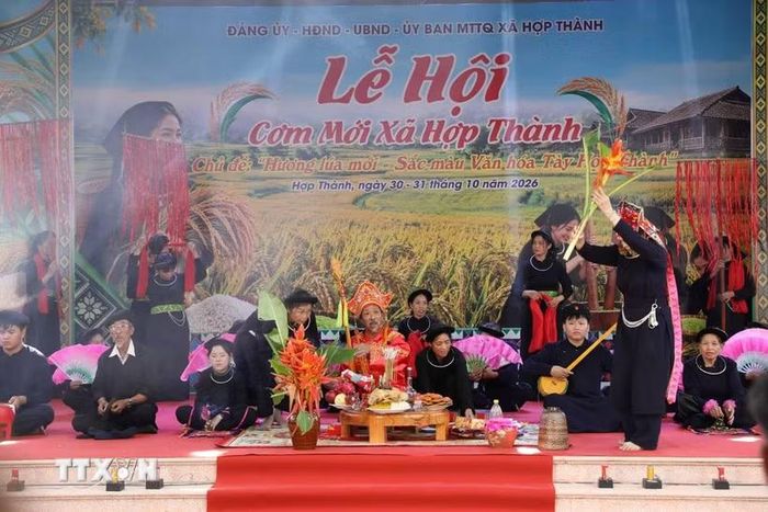 Phục dựng lễ hội cơm mới của xã Hợp Thành. (Ảnh: Vũ Hoàng Giang/TTXVN)