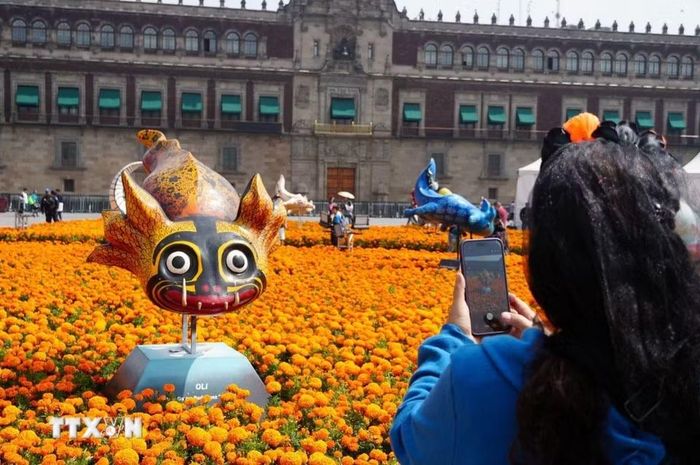 Du khách chụp ảnh tượng axolotl - thường được gọi là kỳ giông Mexico, là loài lưỡng cư đặc hữu của quốc gia Mỹ Latinh này. (Ảnh: Phi Hùng/TTXVN)