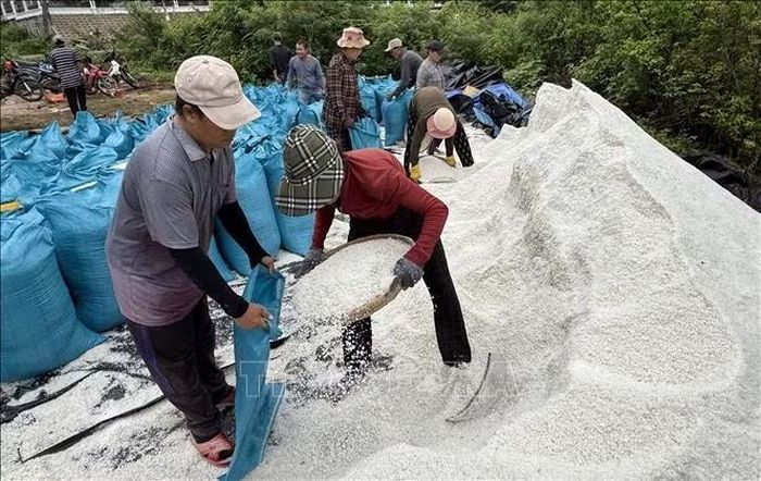 Diêm dân làng Tuyết Diêm sản xuất muối hạt, cung ứng sản phẩm thô cho thị trường.