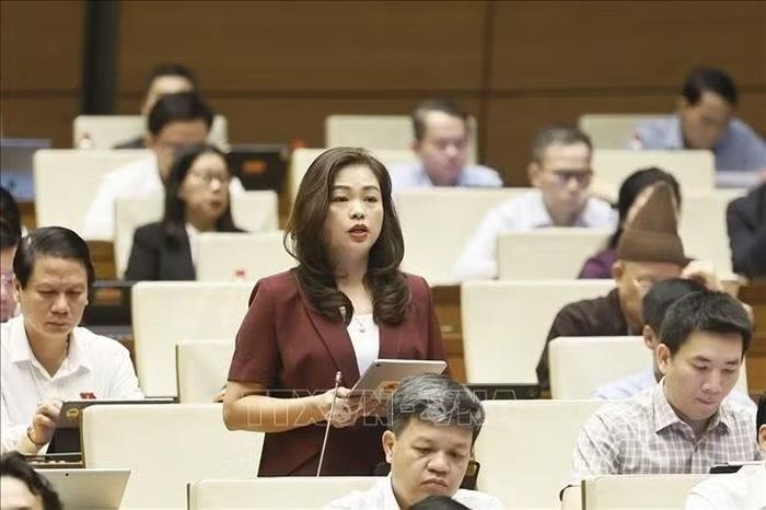 Đại biểu Quốc hội tỉnh Cao Bằng Đoàn Thị Lê An phát biểu. Ảnh: Doãn Tấn/TTXVN
