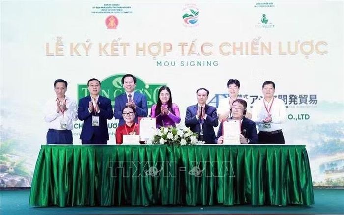 Ký kết hợp tác giữa các doanh nghiệp chè Thái Nguyên về phát triển, tiêu thụ sản phẩm trà. Ảnh: Trần Trang/TTXVN