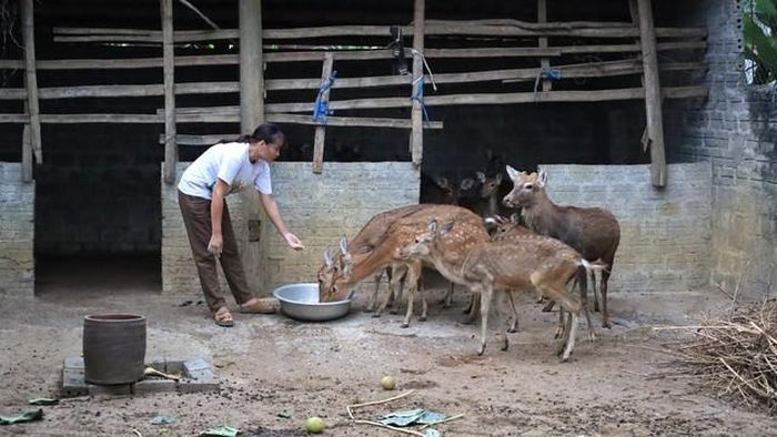 Chương trình mục tiêu quốc gia giảm nghèo đã góp phần tạo sinh kế cho người dân xã Bá Thước (Ảnh: UBND xã Bá Thước)