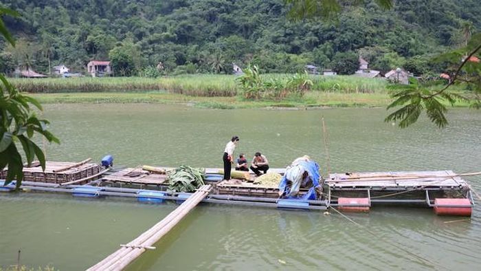 Mô hình nuôi cá lồng giảm nghèo (Ảnh: UBND xã Bá Thước)