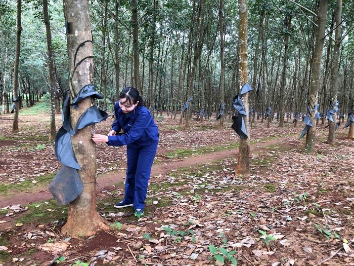 Chị Cao Thị Hạnh luôn quan sát, tìm tòi những giải pháp phù hợp để nâng cao hiệu quả lao động