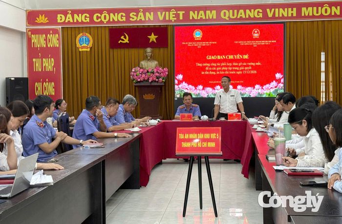 ông Phạm Tuấn Anh, Chánh án TAND khu vực - TP.HCM phát biểu tại buổi làm việc.