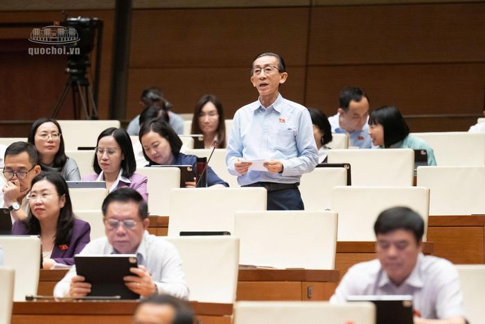 Đại biểu Trần Hoàng Ngân (Đoàn đại biểu Quốc hội TP Hồ Chí Minh).