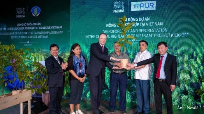 Tập đoàn Nestlé khởi động dự án "Canh tác cà phê bền vững theo mô hình nông lâm kết hợp" tại Việt Nam.