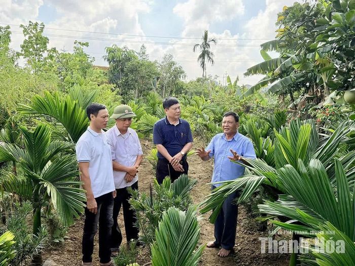 Mô hình cây cảnh của ông Nguyễn Văn Cần (bên phải), hội viên người cao tuổi thôn Đỉnh Tân mang lại hiệu quả kinh tế.