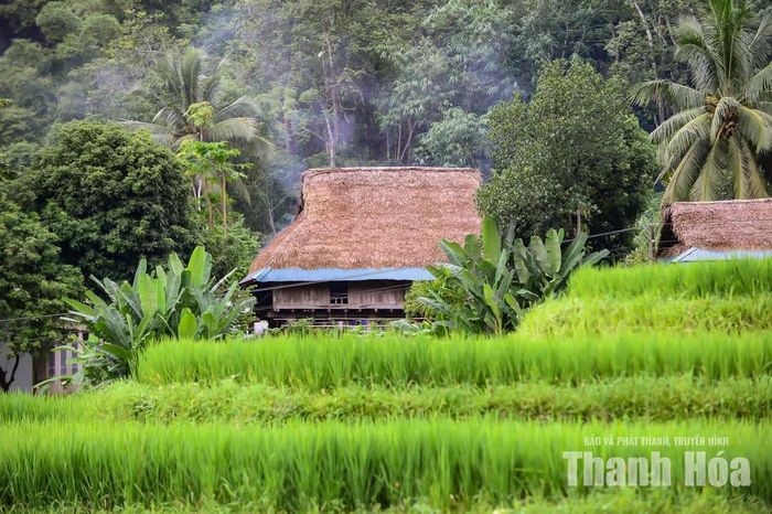Những nếp nhà sàn lâu đời vẫn được người Thái gìn giữ qua nhiều thế hệ. Có những ngôi nhà đã gắn bó với gia đình hàng chục năm, thậm chí cả trăm năm, chứng kiến bao đổi thay của bản làng.