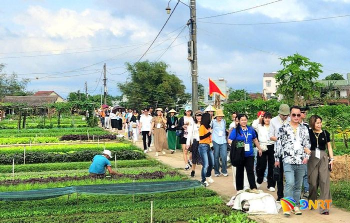 Kết nối với các làng nghề, du lịch cộng đồng góp phần gia tăng trải nghiệm cũng như tăng chi tiêu của du khách. TRONG ẢNH: Du khách trải nghiệm tại làng rau Trà Quế, phường Hội An Tây. Ảnh: NHẬT HẠ