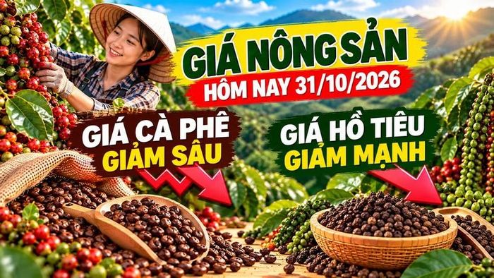 Hình minh họa.