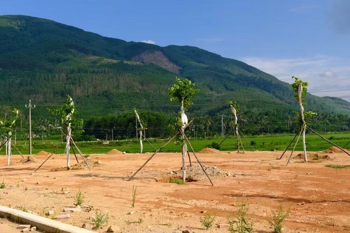  Tại khu tái định cư thôn Trà Cong (xã An Hòa), khuôn viên được đầu tư xây dựng khang trang, cách khu vực núi Đá chỉ khoảng 200 m. Ảnh: Phan Lài 