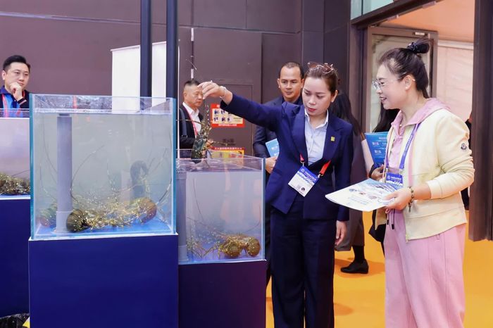Bà Phạm Huỳnh Uyên Thi - Giám đốc Kinh doanh KLC Seafood giới thiệu tôm hùm xanh sống Việt Nam đến khách tham quan tại CFSE 2026, giúp đối tác trực tiếp quan sát sản phẩm và tìm hiểu cơ hội hợp tác.