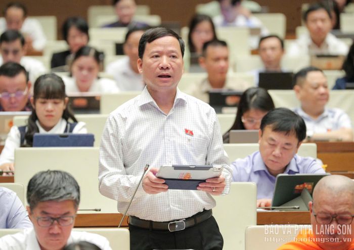 Đại biểu Nguyễn Đặng Ân, Phó Trưởng Đoàn đại biểu Quốc hội tỉnh phát biểu thảo luận tại hội trường