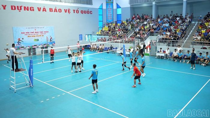 Đằng sau mỗi thành tích là sự hướng dẫn, động viên bền bỉ của huấn luyện viên.