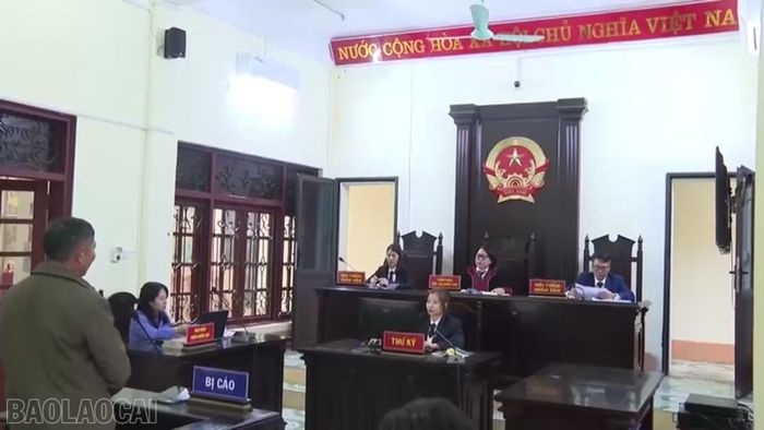 Phiên tòa xét xử vụ án vi phạm quy định về bảo vệ động vật nguy cấp, quý, hiếm tại Tòa án nhân dân huyện Bảo Thắng, tháng 1/2024. (Ảnh tư liệu)