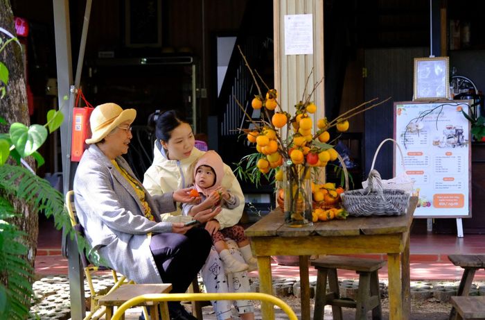 Bà Nguyễn Thị Khánh Mỹ kể những câu chuyện về vườn hồng đầy thú vị