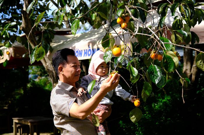 Du khách thích thú khi được đến Đà Lạt mùa hồng