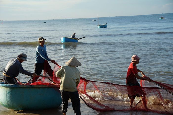 Giác lưới (mẻ lưới) đầu thu về