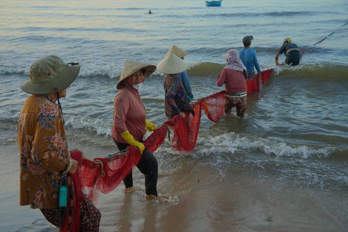 Cùng nhau thụt lùi để kéo lưới.