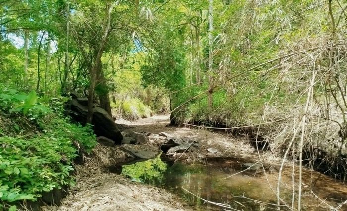 Khu vực suối Đắk Đam, bên cạnh di tích, nơi các chiến sĩ Đồn Biên phòng Đắk Đam (1975 - 1979) lấy nước sinh hoạt