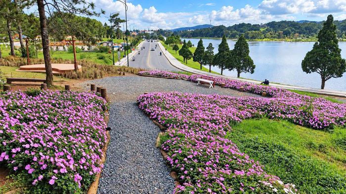 Hoa được trồng trang trí tại điểm được giới trẻ yêu thích chụp hình