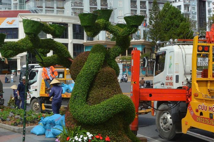 Phường trung tâm rộn ràng chuẩn bị cho ngày hội Festival Hoa 2026