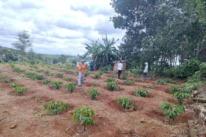 Chính quyền xã Đắk Mil kiểm tra thực tế, giải quyết các kiến nghị của người dân trong quá trình thu hồi đất