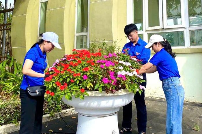 Đoàn viên, thanh niên tham gia nhổ cỏ, chăm sóc các bồn hoa trên tuyến đường trung tâm
