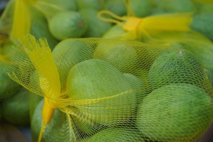 Dưa lưới non Bình An