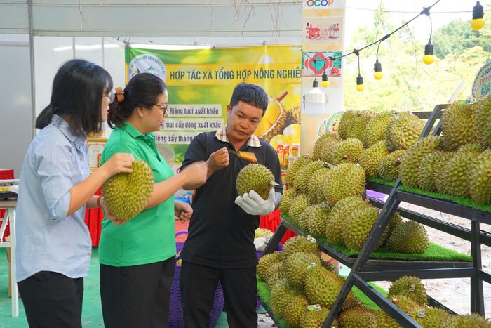Sầu riêng Đa Mi một sản phẩm được du khách ưa chuộng