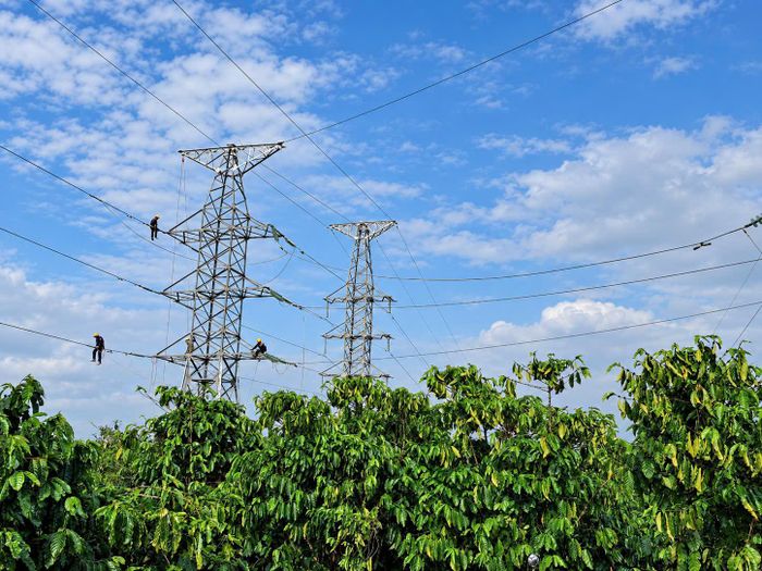 EVNSPC hoàn thành toàn bộ công việc nâng cấp tiết diện đường dây đoạn Bảo Lộc - Di Linh (220kV)