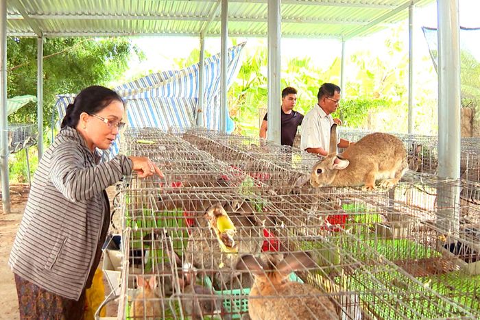 Mô hình chăn nuôi thỏ của bà con Chăm thôn Phan Hòa, xã Bắc Bình cũng đang mở ra triển vọng phát triển thành một ngành chăn nuôi hàng hóa trong thời gian tới