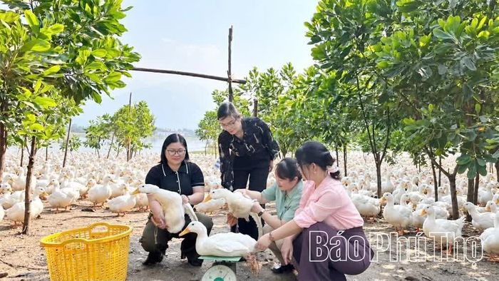 Nhờ ứng dụng KHCN, nhiều mô hình phát triển kinh tế ở xã Tu Vũ mang lại thu nhập cao.
