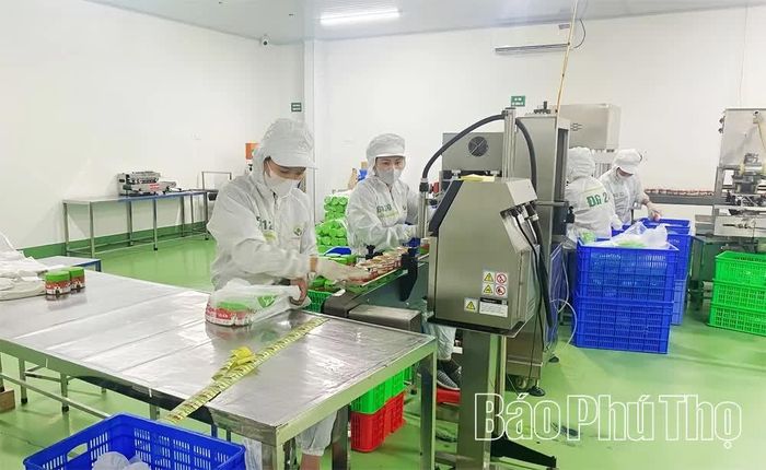 Công ty Cổ phần Lita Food (xã Thanh Sơn) chú trọng nâng cao chất lượng, đẩy mạnh sản xuất, chủ động nguồn hàng đáp ứng nhu cầu thị trường dịp cuối năm.